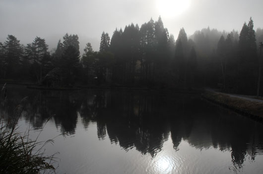 c0093046_153151100.jpg