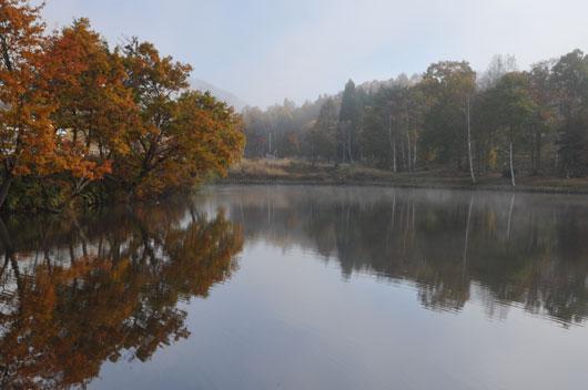 c0093046_1532236.jpg