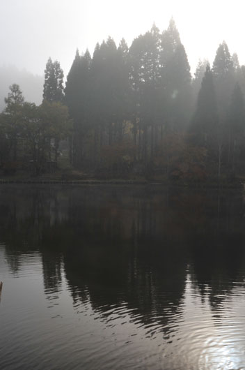 c0093046_1532756.jpg