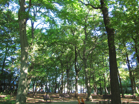 b0097747_14425988.jpg