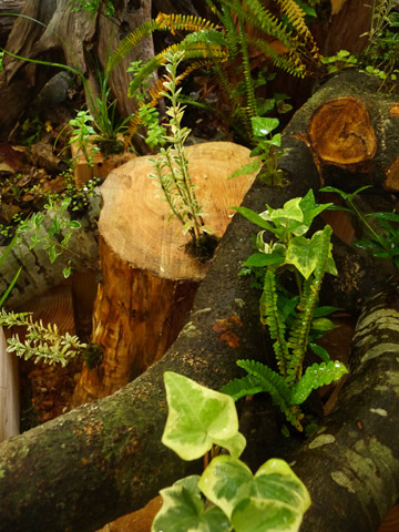 c0221349_20253970.jpg