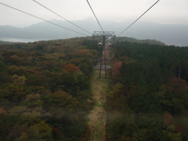 d0078350_1155419.jpg