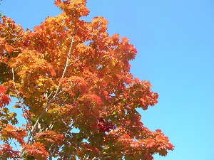 e0172950_0265821.jpg
