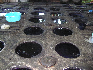 e0172950_0272615.jpg