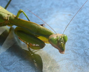e0172950_028065.jpg