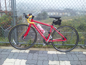 f0229250_21135996.gif