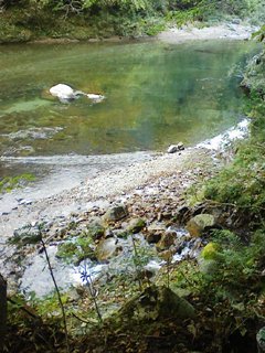 2010年10月24日のこと-1_f0197754_19472445.jpg