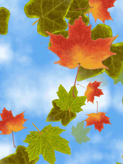 a0063364_23141863.gif