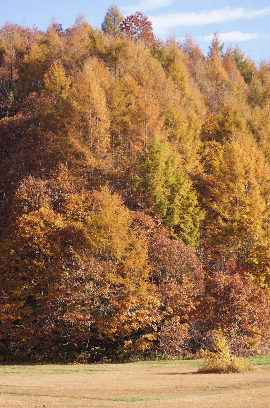 ならまた湖にて、紅葉狩りカヤック。(1)_c0002967_2293336.jpg