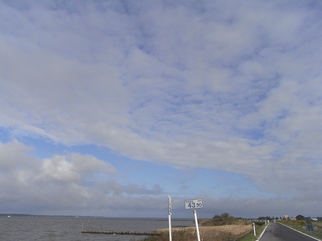 You Gotta Be _d0105967_2210945.jpg