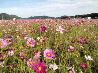 c0206670_19194052.jpg