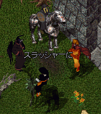 b0190672_114419.gif
