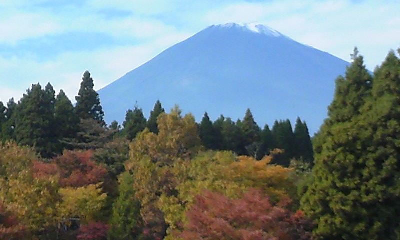 e0212073_1957185.jpg