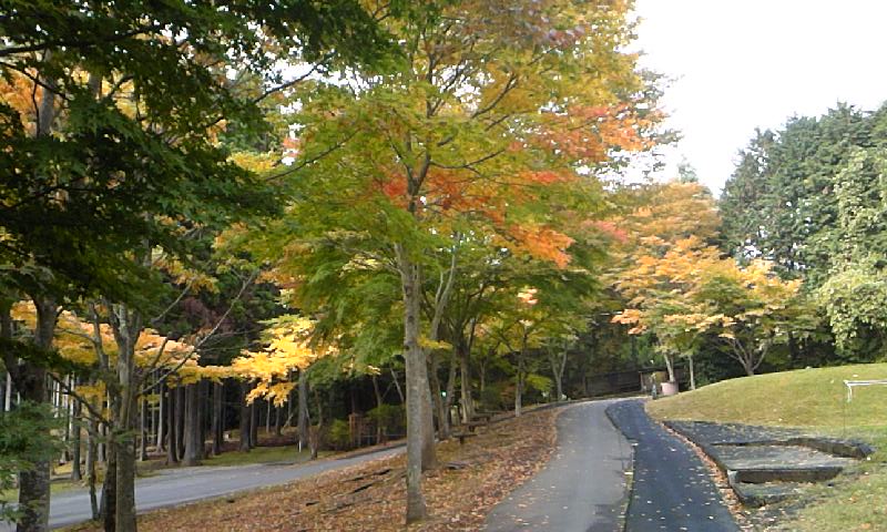 e0212073_1959951.jpg