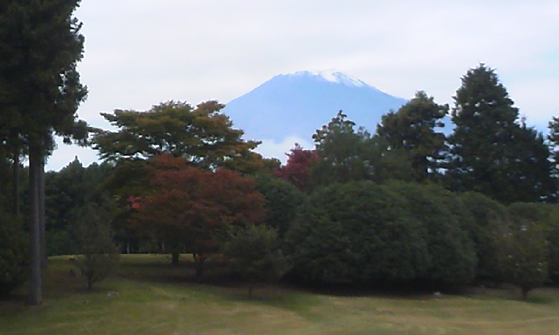 e0212073_2034548.jpg