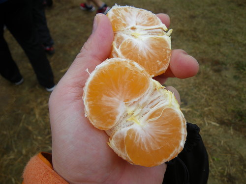 f0064278_1550366.jpg