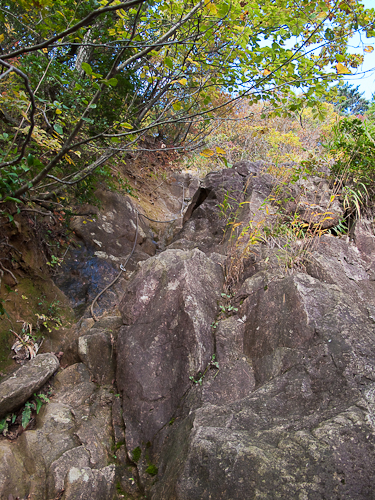 c0203681_17335113.jpg