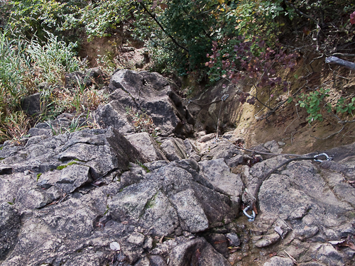 c0203681_1734119.jpg