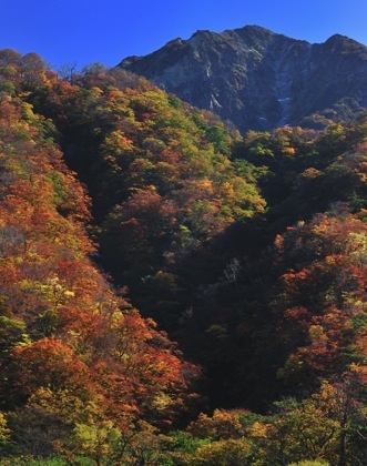 夜明け前到着した.大山では....さほど期待してなかった朝焼けが......_b0194185_2142557.jpg