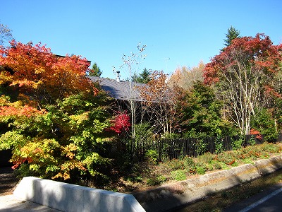 我が家の紅葉_d0133485_15433214.jpg