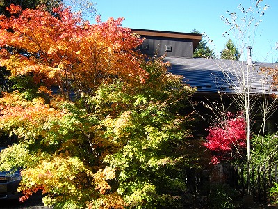 我が家の紅葉_d0133485_15435344.jpg