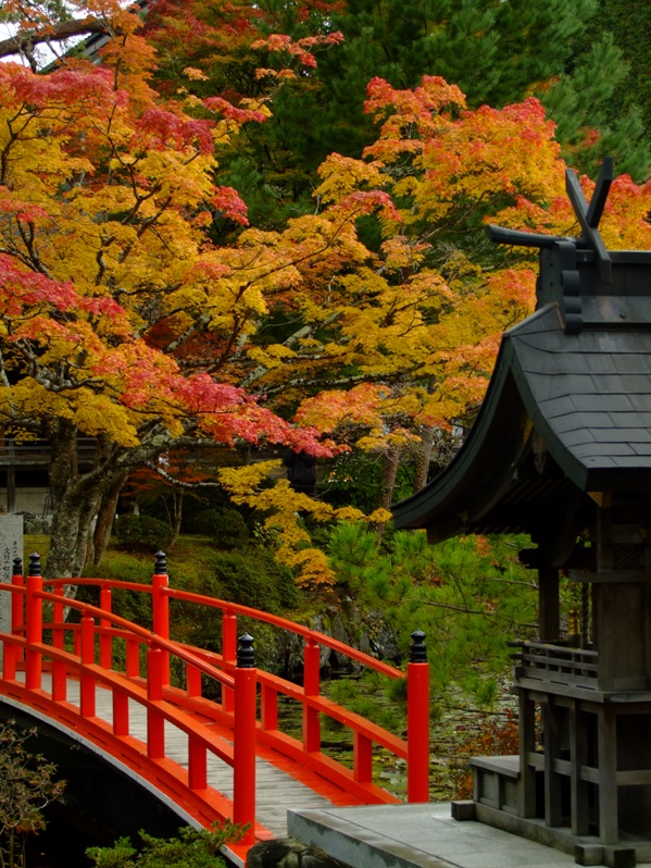 高野山紅葉オフ会_e0156387_21433059.jpg