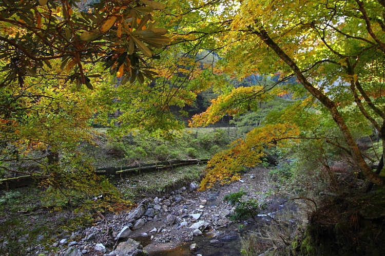 峰定寺_e0051888_21404246.jpg
