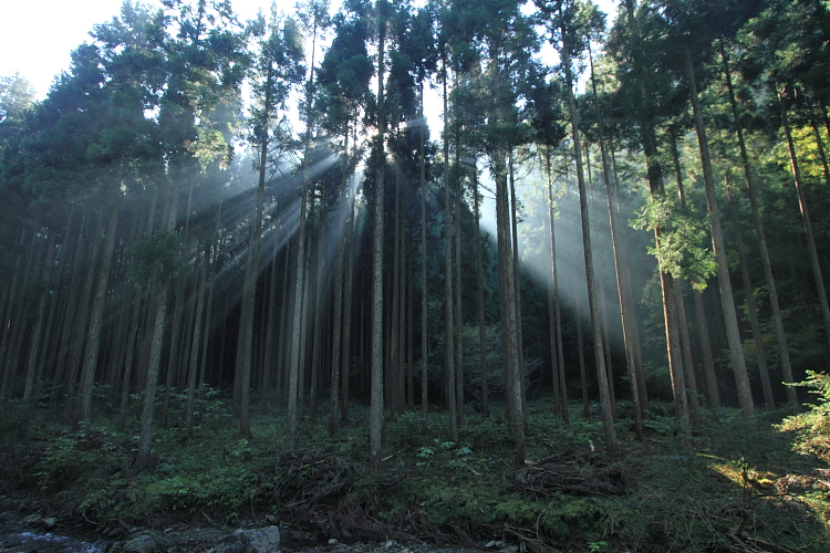 峰定寺_e0051888_2140854.jpg