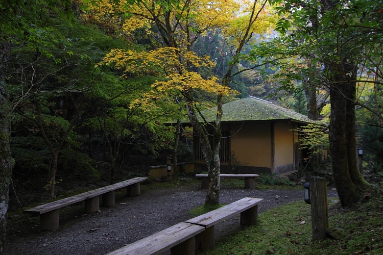 峰定寺_e0051888_2142493.jpg