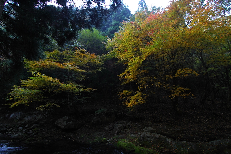 峰定寺_e0051888_2143243.jpg