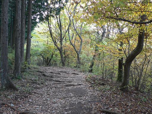 陣馬山　【八王子市/相模原市・855m】_d0083491_232039100.jpg