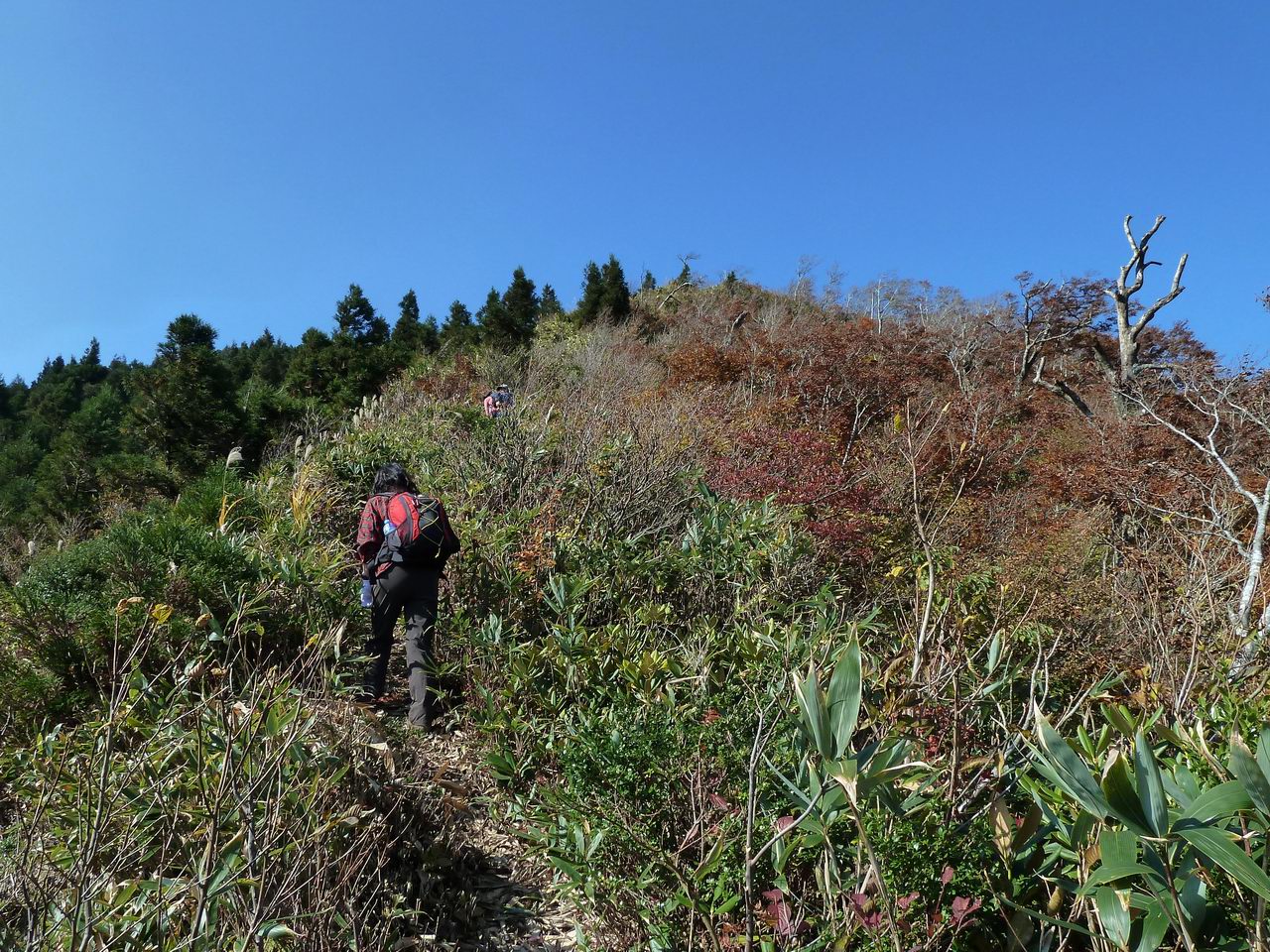 美濃と越前の国境の山－金草岳_e0110500_23374586.jpg