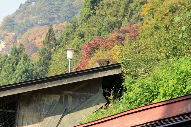 e0137200_22321570.jpg