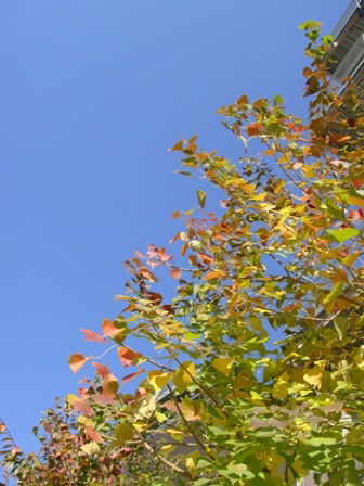 a0167803_23353412.jpg