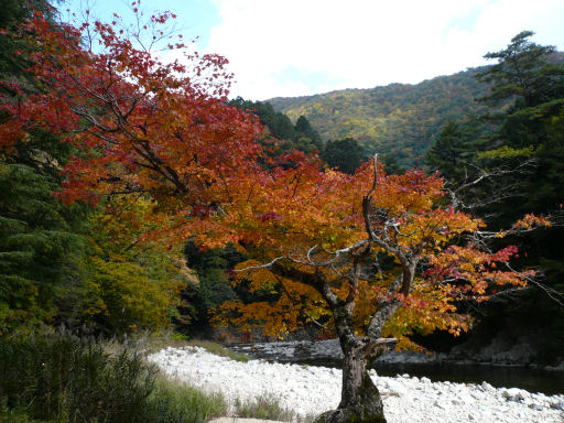 三段峡の紅葉_b0017504_2122486.jpg