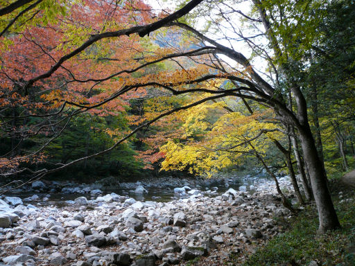 三段峡の紅葉_b0017504_21233931.jpg