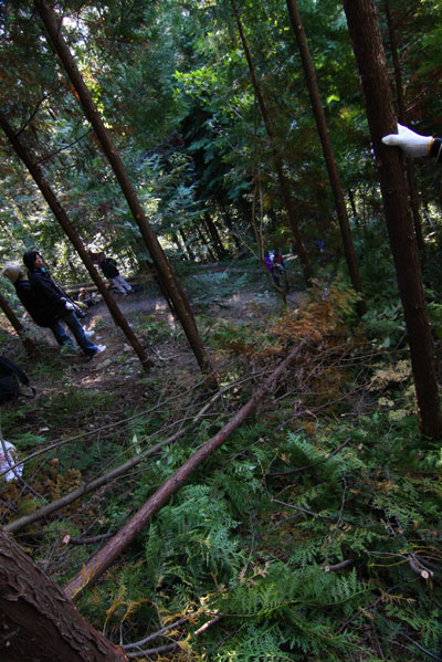 伐採ツアー2010(おまけ)_b0186205_2340992.jpg