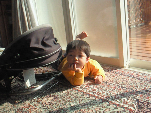 d0149105_1252442.jpg