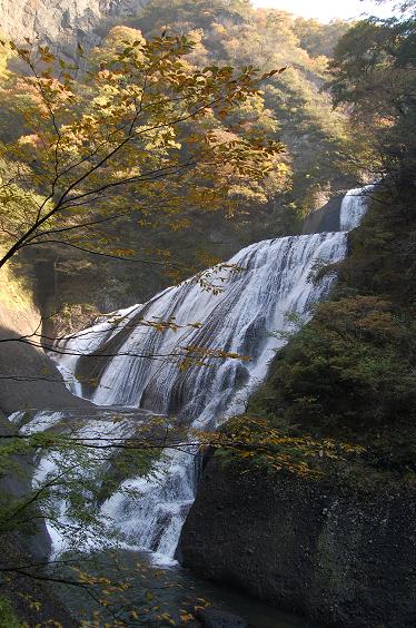 f0129607_2139530.jpg