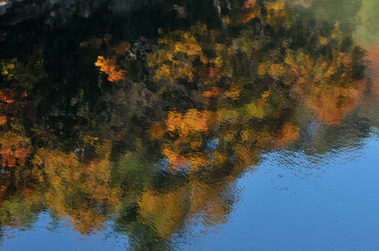 b0128609_22252528.jpg