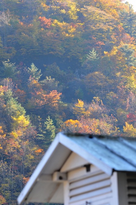 b0128609_22271489.jpg