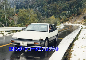 d0019913_21582471.jpg