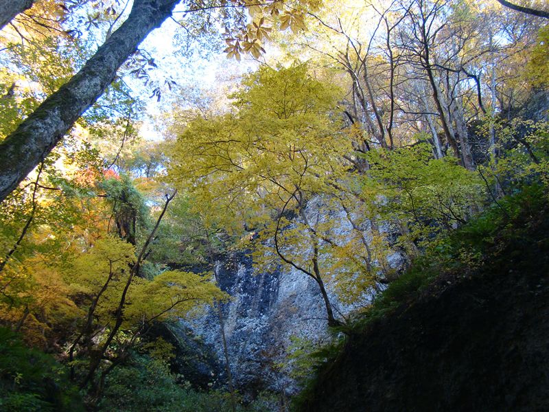 a0127015_19502162.jpg