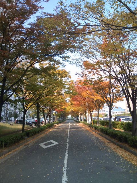 a0048918_19262034.jpg