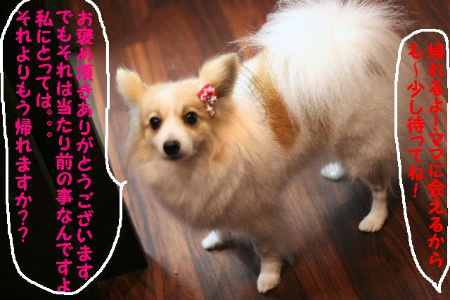 年末が！！_b0130018_18105646.jpg