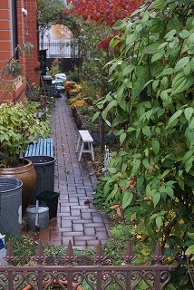 f0170524_10585575.jpg