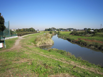 d0179225_21553814.jpg