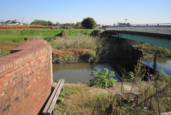 見沼代用水と伊奈氏居城跡_d0179225_2159842.jpg