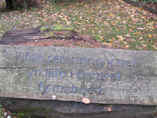 d0145528_0145980.jpg
