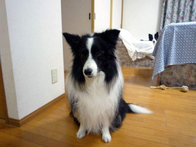 d0059230_8275315.jpg